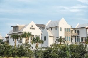 palm trees by houses