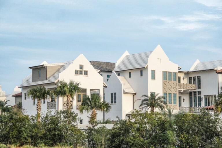 palm trees by houses