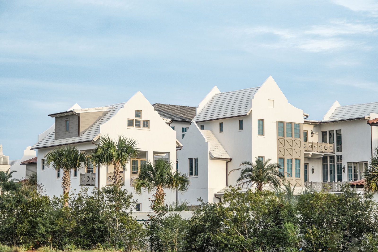 palm trees by houses